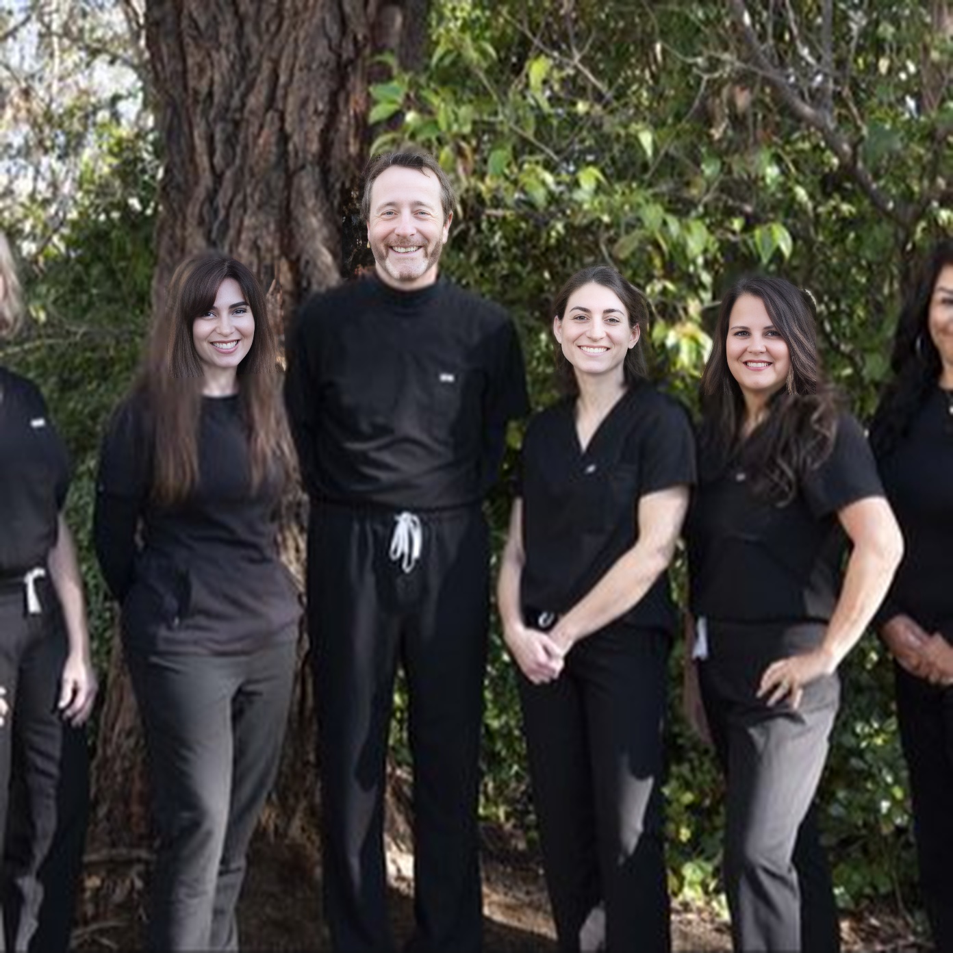 Dr. Lorne Rosenfield,