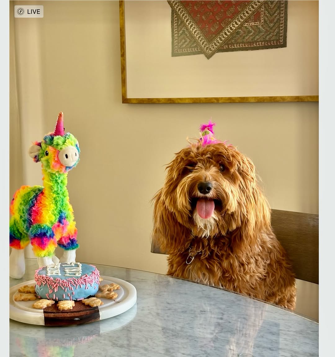 Instagram post by Dr. Ali Ghafouri: Happy 3rd Birthday to the cutest little pup🎈🎈❤️❤️❤️