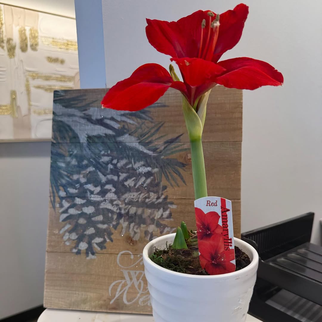 Instagram post by Dr. Amy Kotecha: Thank you to our lovely patient for helping us warm up our waiting room ❤️