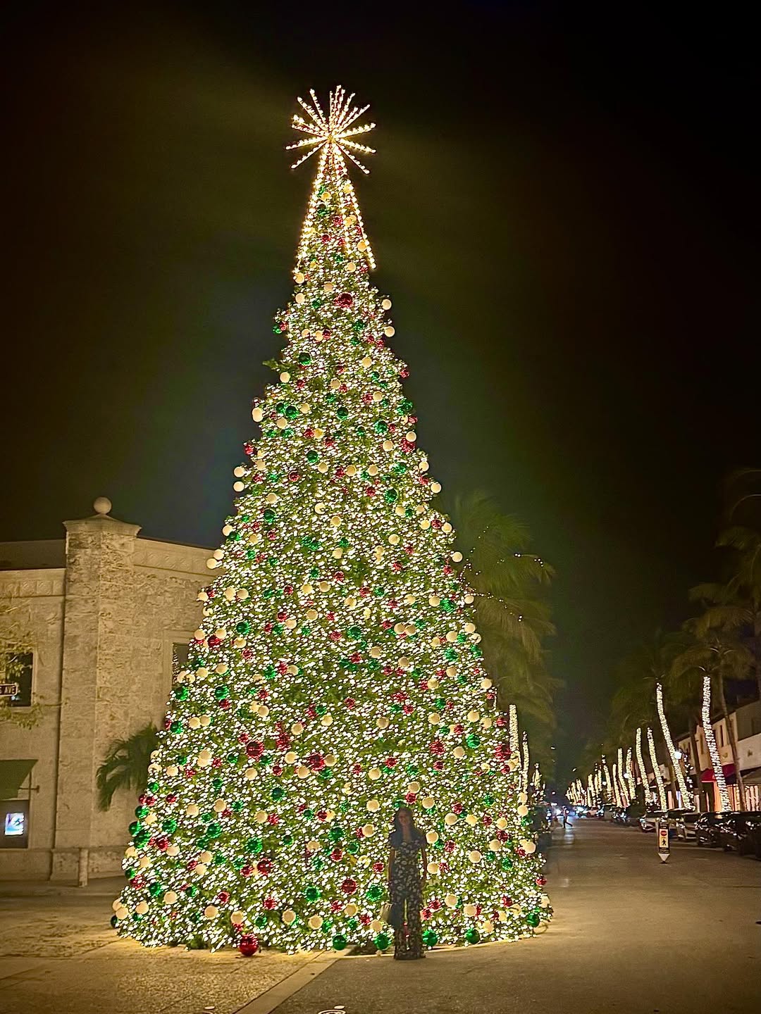 Instagram post by Dr. Anita Mandal: Happy Holidays from Palm Beach!