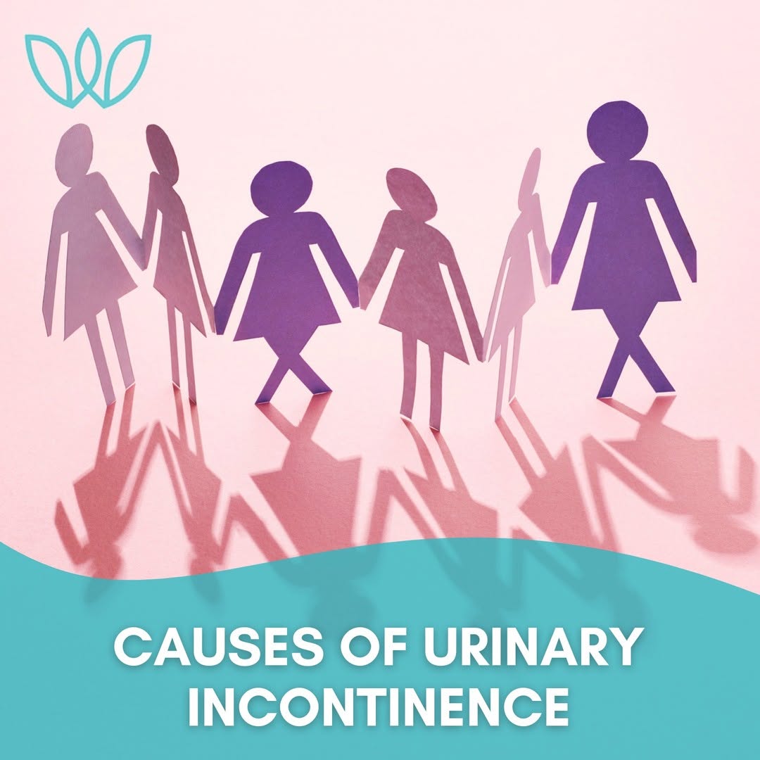 Instagram post by Dr. Ann Cha: Urinary continence is categorized as either temporary or persistent. Temporary urinary incontinence is often induced by certain drinks, food…