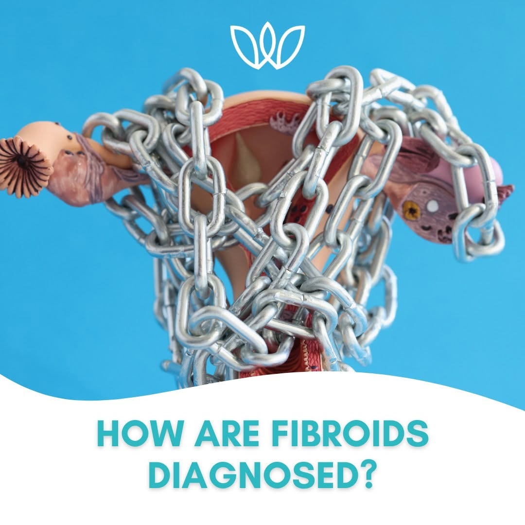 Instagram post by Dr. Ann Cha: If you have a uterine fibroid, Dr. Cha would be able to diagnose it during your routine pelvic exam. If Dr. Cha feels a bump or abnormality …