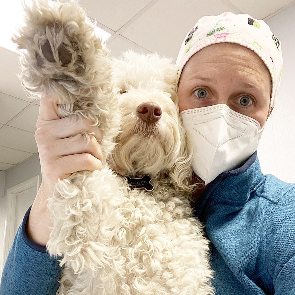 Instagram post by Dr. Anya Pukhovitskaya, D: Raise your paw if you’re excited for the weekend 🐾 Also, Gracie is getting a haircut Sunday so if you don’t recognize her next week... we w…