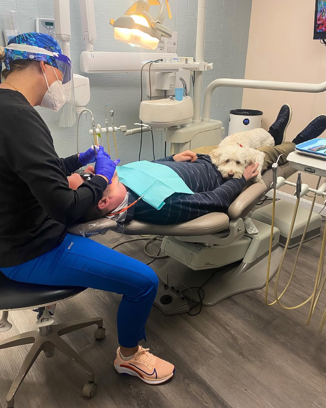 Instagram post by Dr. Anya Pukhovitskaya, D: Once you get your dental cleaning and with a therapy dog, there’s no going back! #therapydog #therapydogsofinsta #dentist #southboston #sout…