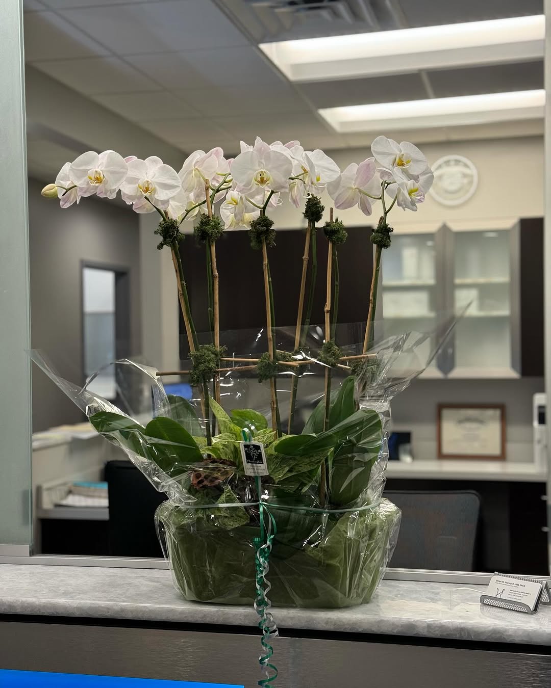 Instagram post by Dr. Brian M. Harmych: I haven’t posted much recently. But, I had to share this! Check out this beautiful arrangement of orchids my office staff and I received tod…