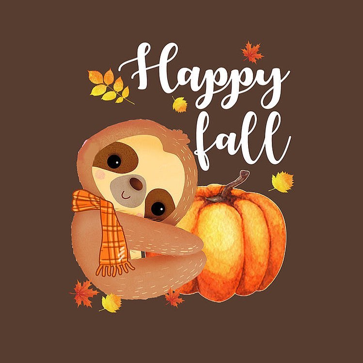 Instagram post by Dr. Christopher Coad: Happy first day of Fall! 🍁🍂 Time for pumpkin pies! 🥧🧡