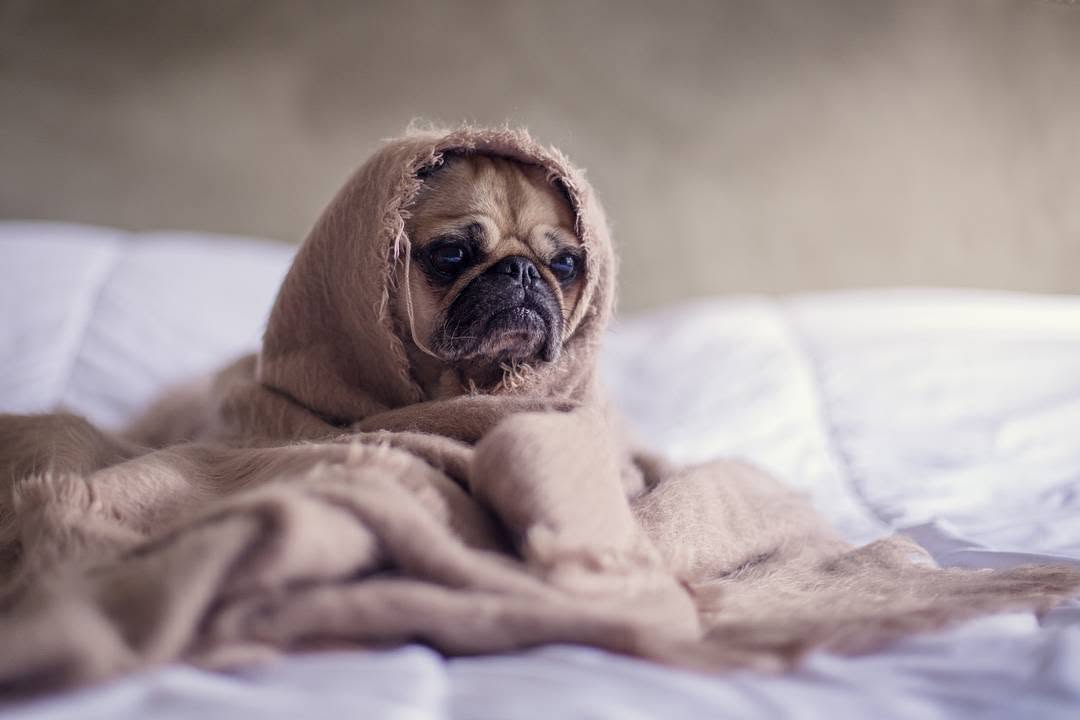 Instagram post by Dr. Dale Prokupek: Feeling under the weather? Before going to work or class, make sure you don’t have these following flu symptoms that could make you contagio…