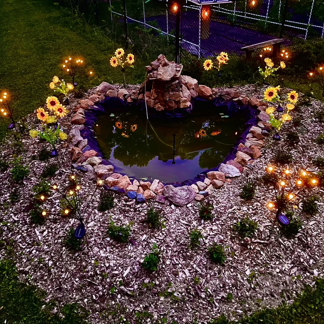 Instagram post by Dr. Darab Hormozi: Photos of our Dragon Heart Pond that Darab created as the latest addition to our garden. It's super beautiful at night with all the adorable…