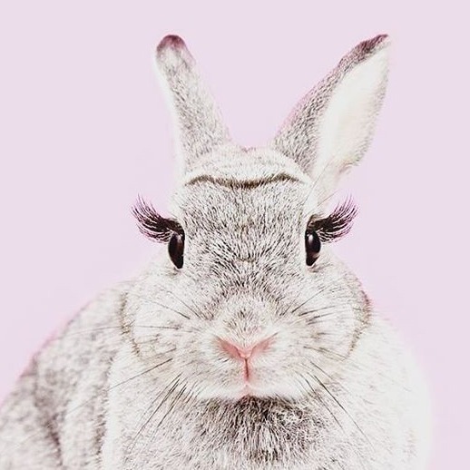 Instagram post by Dr. David Benvenuti: 🐰💖 Easter Bunny’s Secret? Lashes for Days! 💖🐰 This Easter, the bunny isn’t just bringing eggs—she’s bringing LUXURIOUS LASHES too! 👁✨ T…