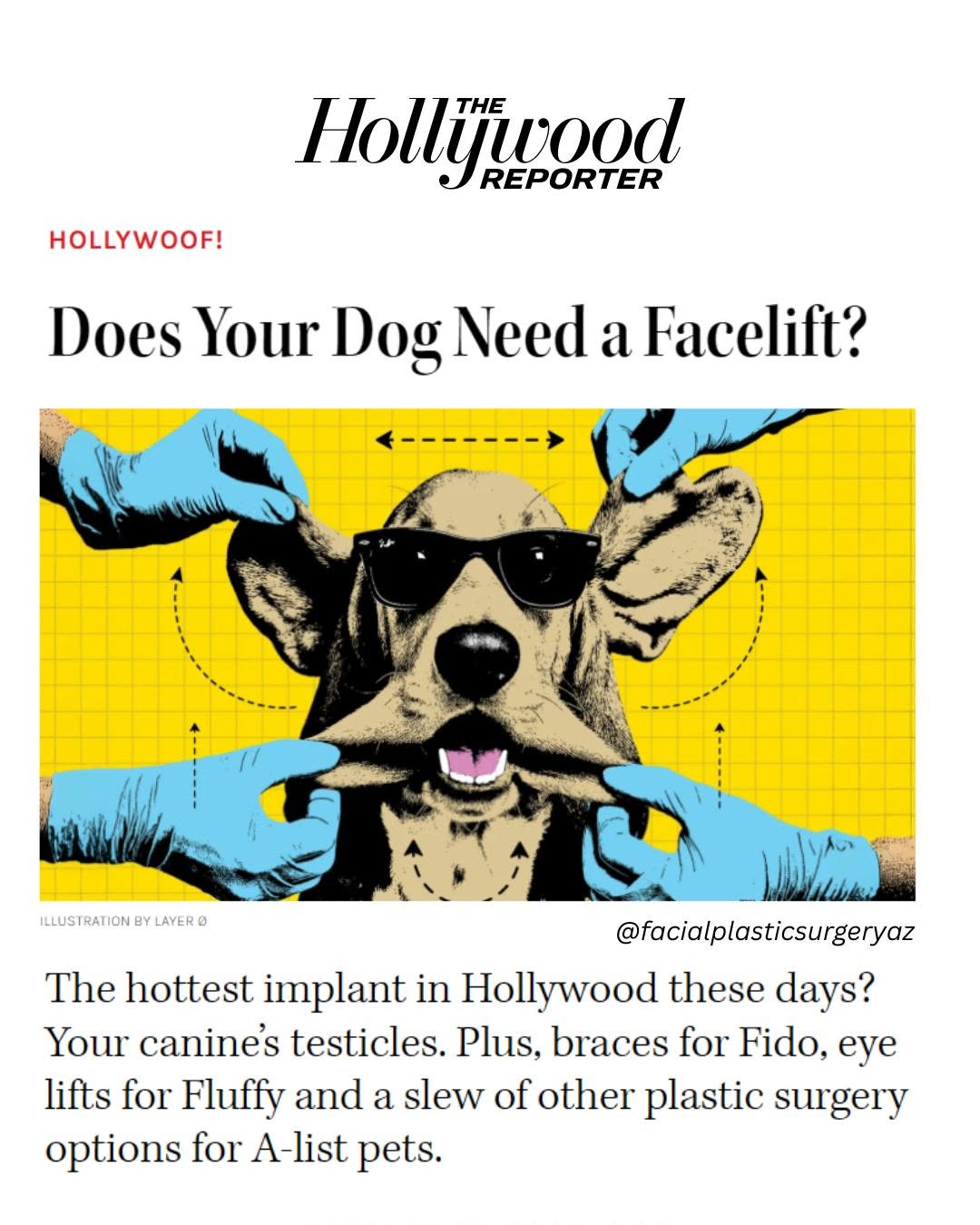 Instagram post by Dr. David Hecht: Do your doggos need a facelift? Asking for a very fashionable friend. 🐶💉 Hollywood’s doing eyelid lifts, braces and even… prosthetic testi…