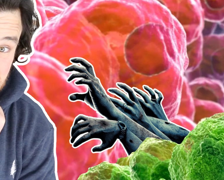 Instagram post by Dr. Donn R. Chatham: Zombie cells (senescent aging ones). Not dead but not quite alive. Beware!