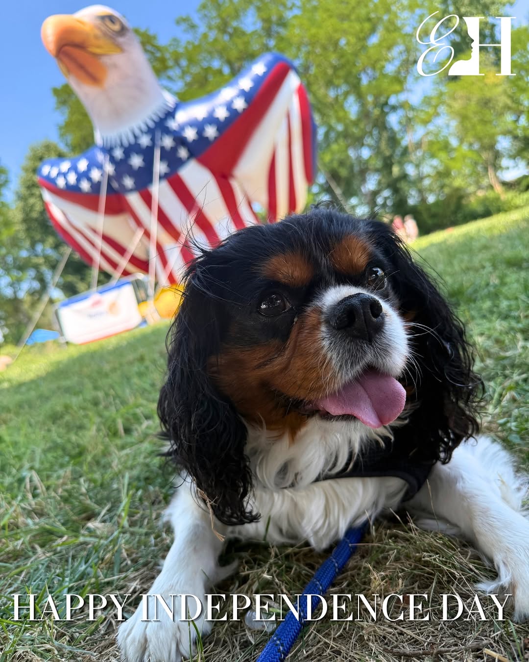 Instagram post by Dr. Emily Hrisomalos: Happy 250th, America! 🇺🇸🇺🇸🇺🇸 We are grateful for our nation’s independence and the countless individuals, past and present, whose cour…