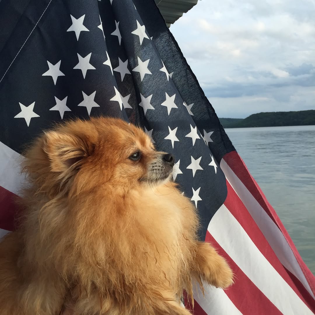 Instagram post by Dr. Harold Farber: Happy 250th Birthday America!!!