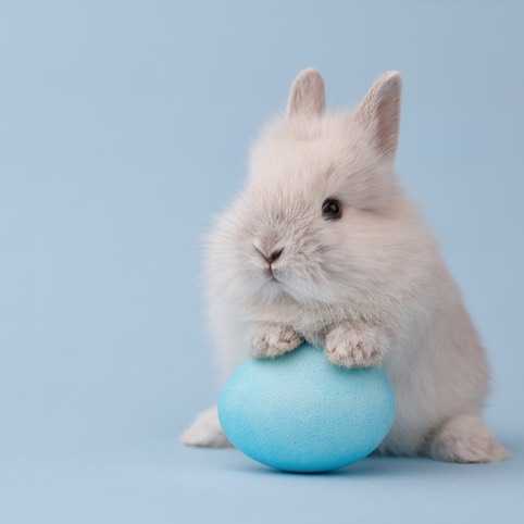 Instagram post by Dr. J. Howell Tiller: Happy Easter! #easter2018