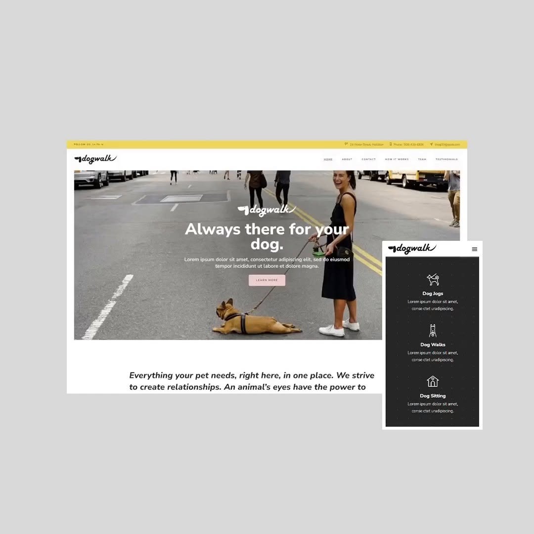 Instagram post by Dr. Jeffrey Cone: Cheerful and bright, the Qi Theme’s Dog Walker demo exudes energy and optimism - a mood achieved by combining the white background with a wa…