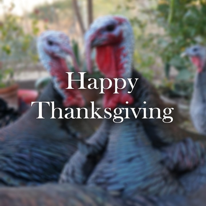 Instagram post by Dr. John Freeman: Happy Thanksgiving! We hope that you all enjoy a relaxing holiday with family and friends.