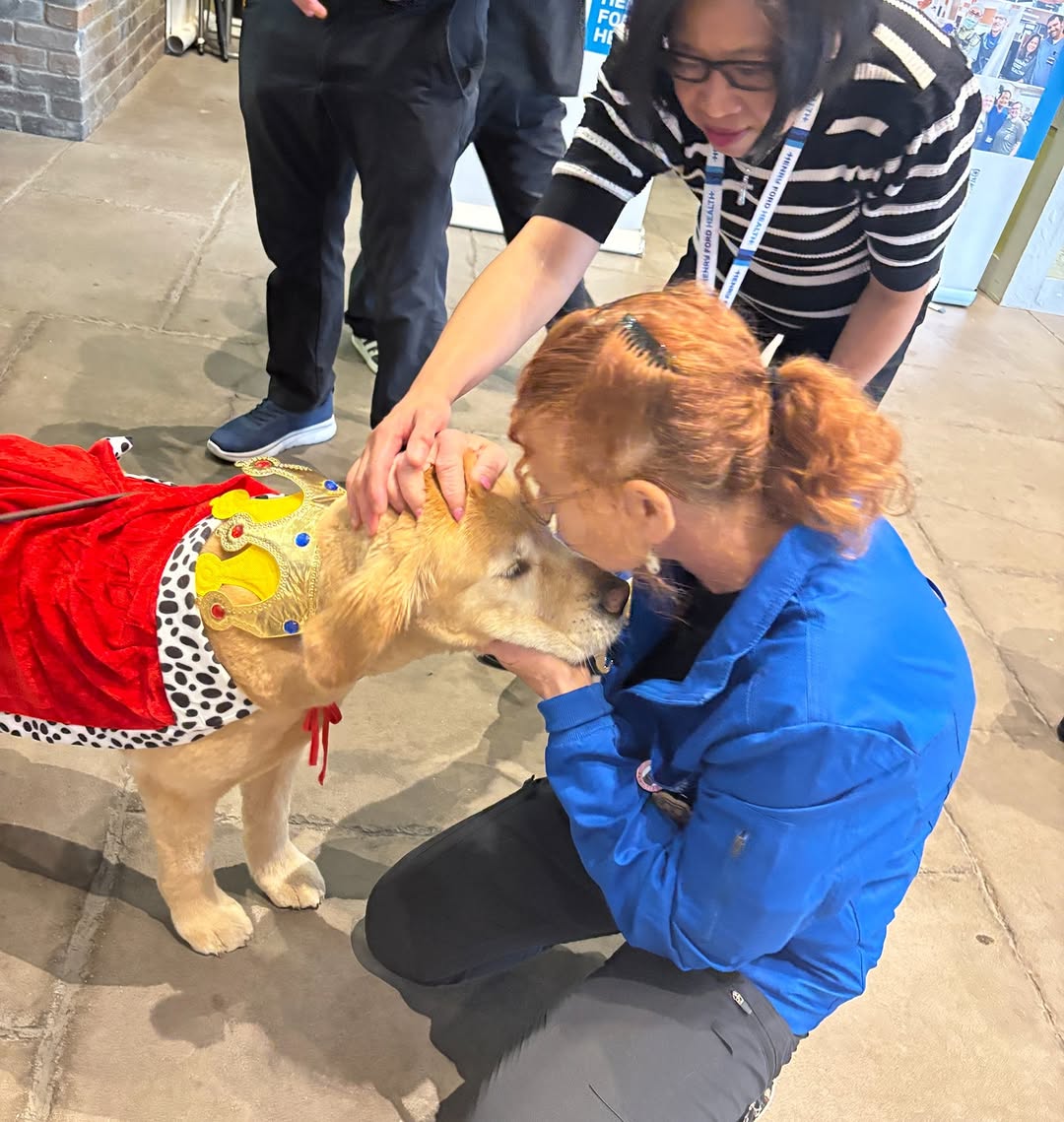 A person in a blue jacket kneels down to interact with a golden retriever wearing a colorful vest and red cape. Another person stands nearby, gently petting the dog. The setting appears to be indoors 