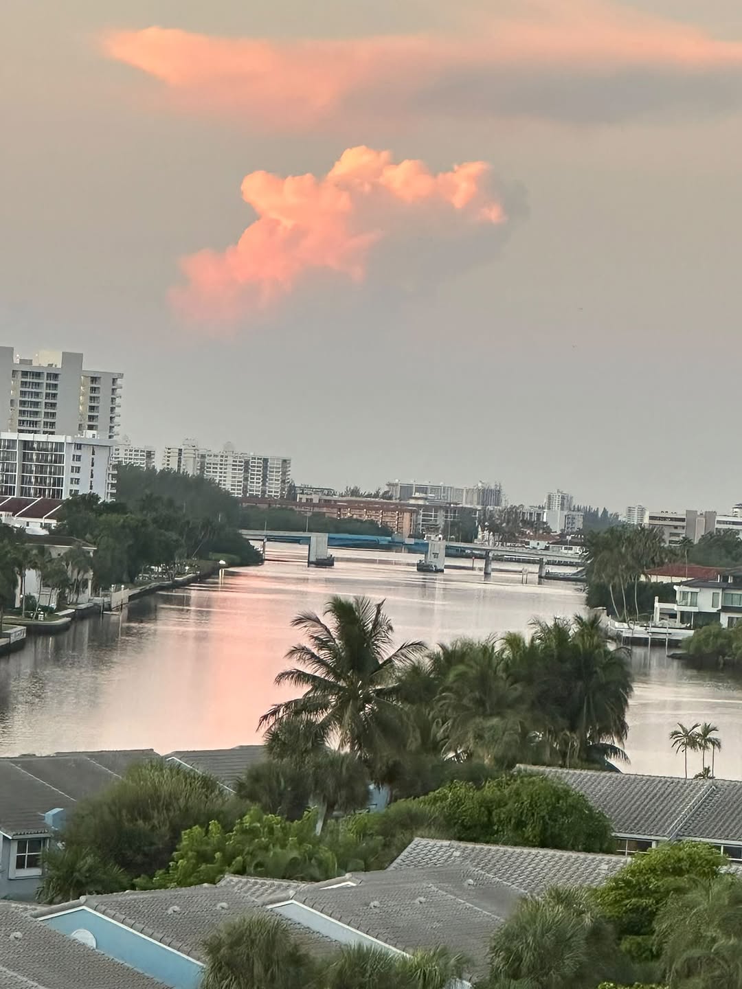 Instagram post by Dr. Judith Hellman: The colors. The peace. Florida.