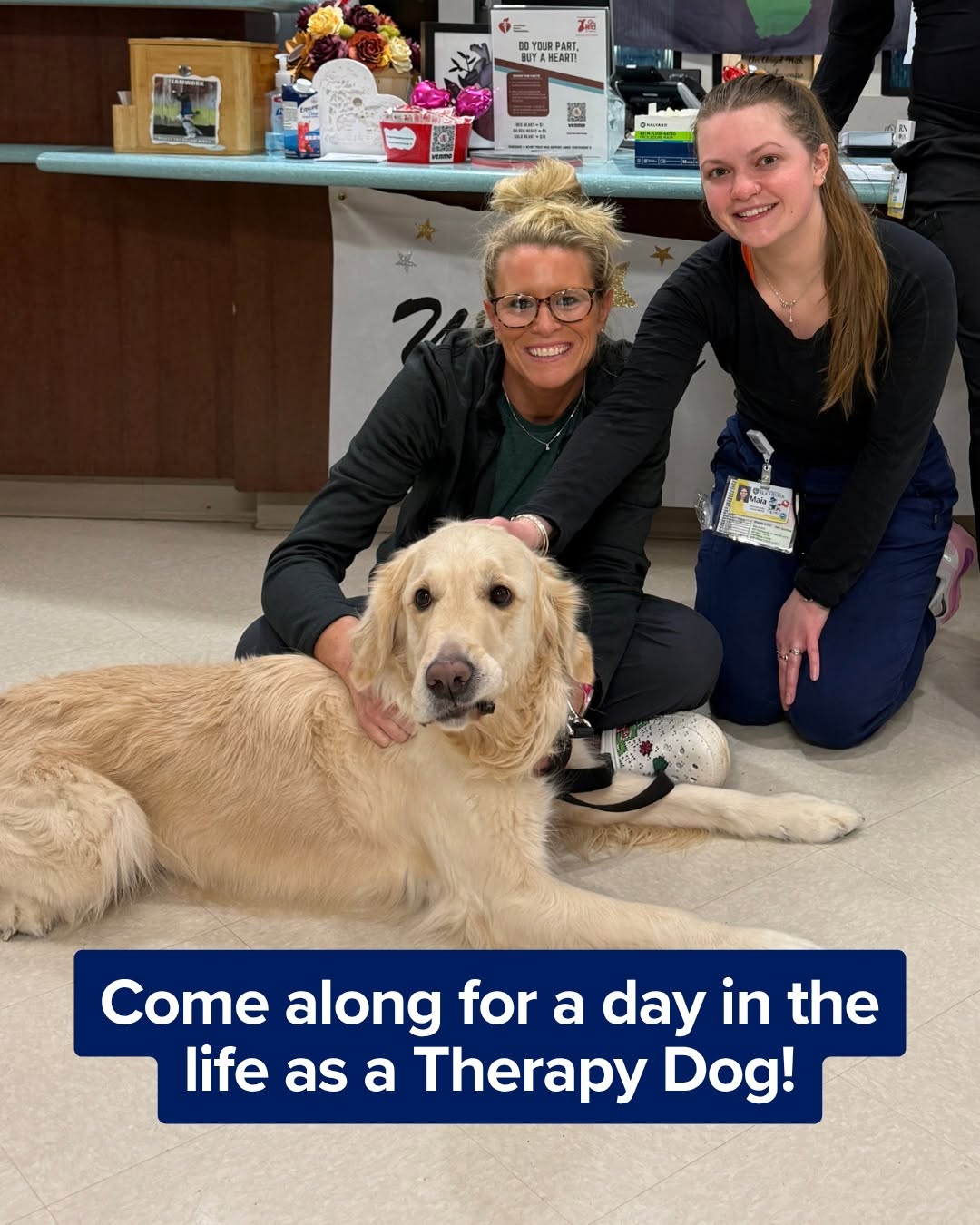 Instagram post by Dr. Katherine Whipple: Our furriest team members have a special way of making a difference. 🐾 Gunner and his dad, Tom, visit patients and teams at Strong Memorial…