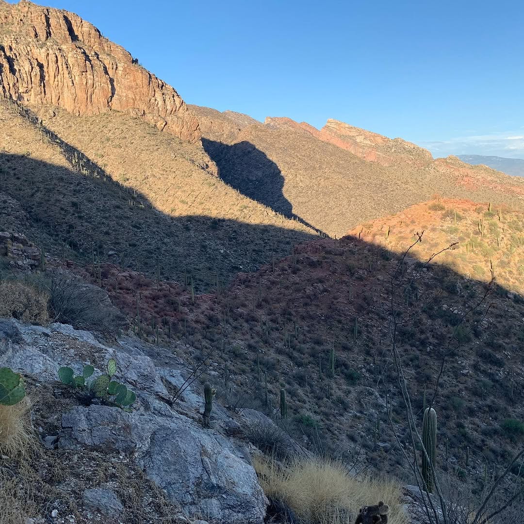 Instagram post by Dr. Kathleen Duerksen: Rock from retardant fire line up mountain behind our house
