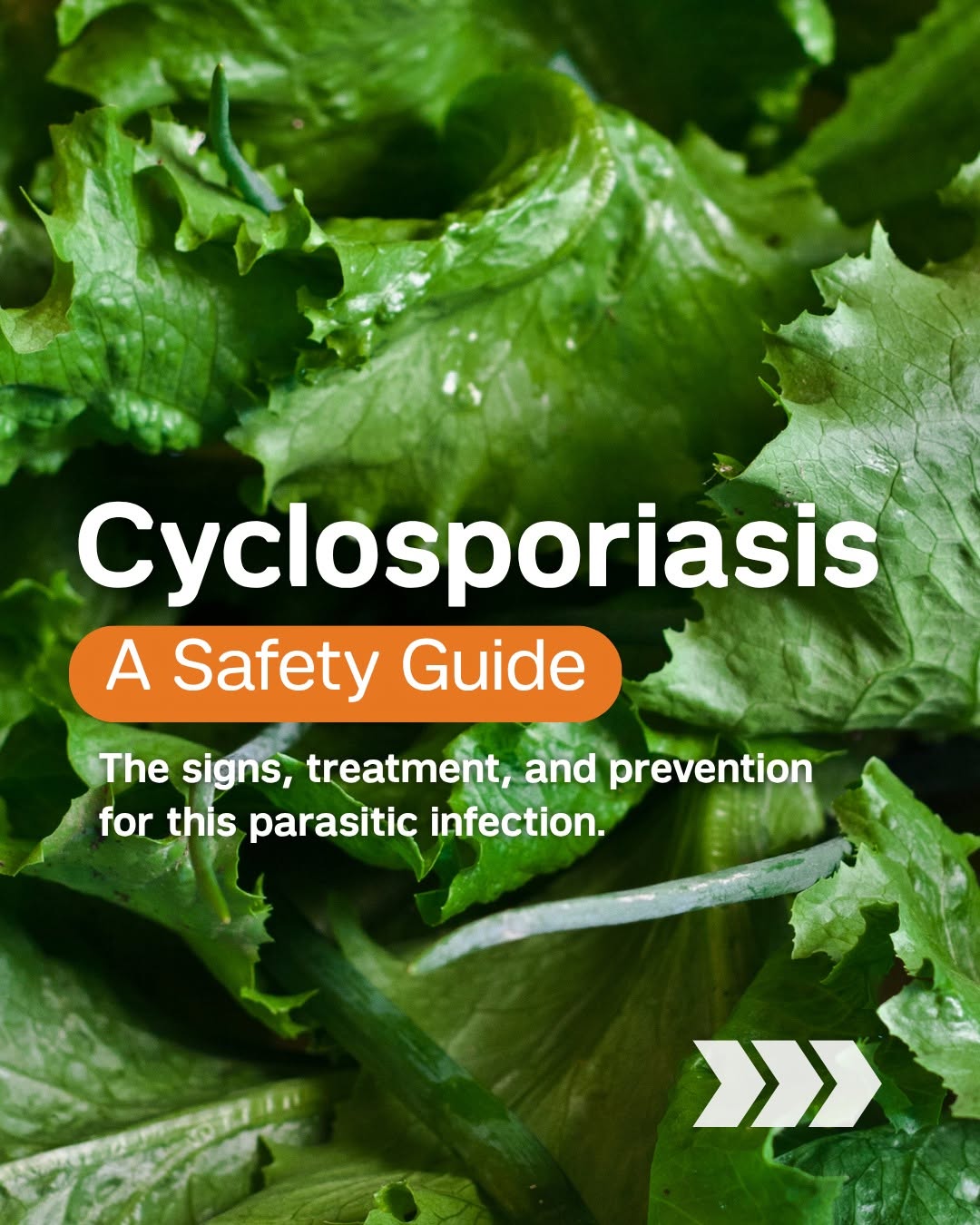 Instagram post by Dr. Katie Ross: You may have seen memes about the stomach bug that’s sweeping the country, causing explosive diarrhea. This severe illness is called Cyclosp…