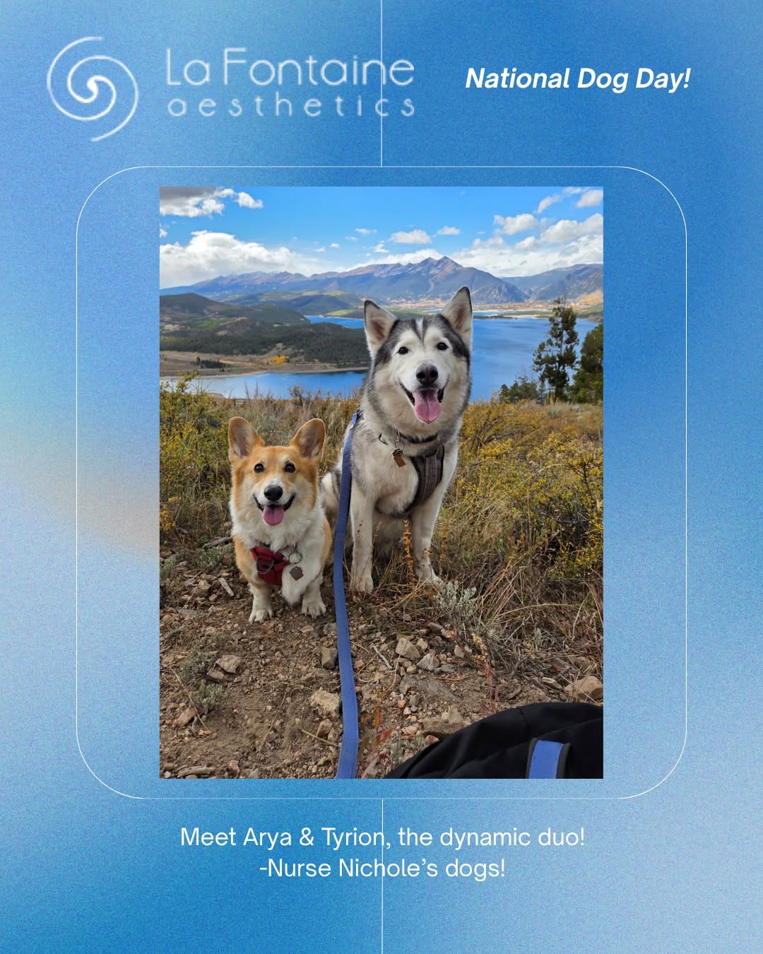 Instagram post by Dr. Kenneth Oleszek: Happy #NationalDogDay! 🐾 Today, we’re handing over the mic (and the feed) to the real MVPs behind the scenes at La Fontaine Aesthetics—our …