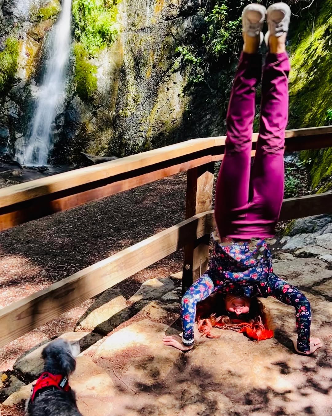 Instagram post by Dr. Keri Sweeten: What are your plans for the weekend? #chasingwaterfalls #Hiking #HikingAdventures #GirlsLikeHiking #GirlsLoveHiking #HikerLife #HikingAddict…