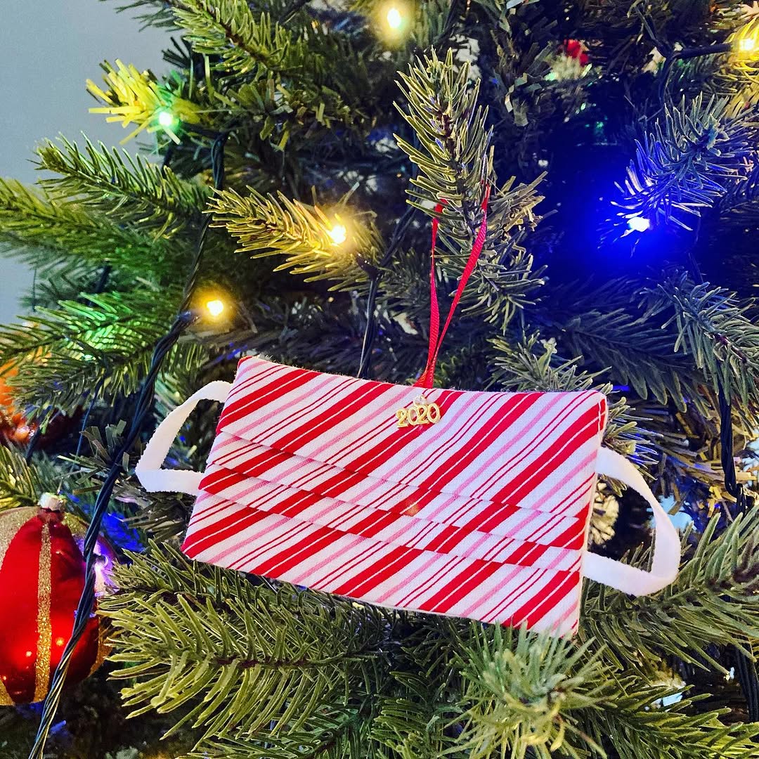 Instagram post by Dr. Laura Schilling: Wishing everyone a very merry (and safe and healthy) Christmas!!! Celebrating is more than a bit different this year, but let’s all make the…