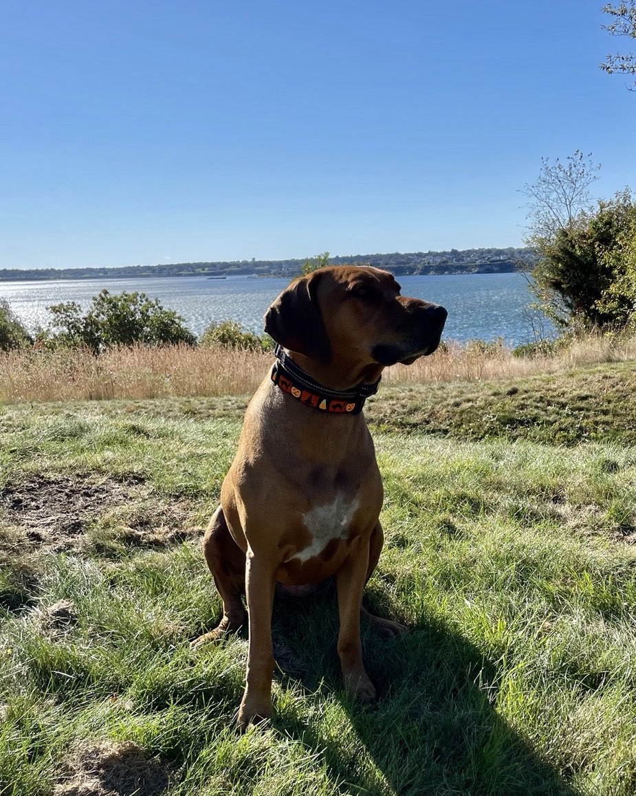 Instagram post by Dr. Leon Goldstein: Savannah loves the Battery!