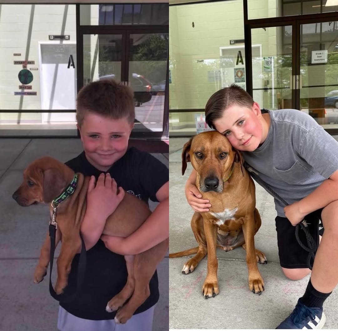 Instagram post by Dr. Leon Goldstein: My little boy and girl: 5 years later!Who grew more?