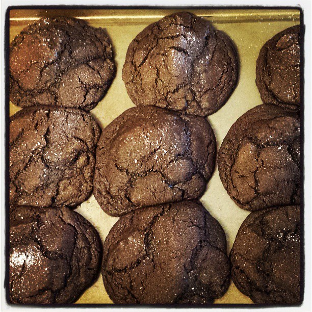 Instagram post by Dr. Leslie Irvine: #molasseschocolatecookies
