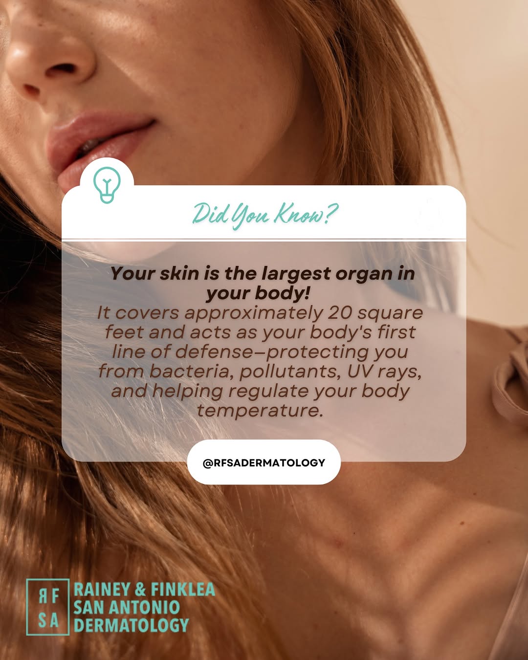 Instagram post by Dr. Lindsey Finklea: A little skin fact for your scroll. 🩵 Your body’s largest organ is also one of its hardest working. Show it some appreciation by protecting…