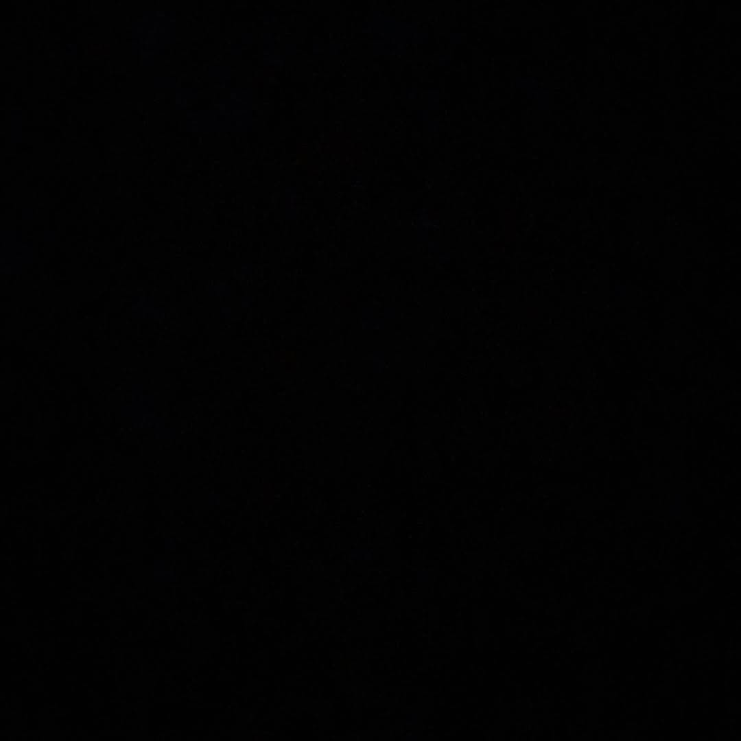Instagram post by Dr. Lorna Flamer-Caldera: #blackoutday2020