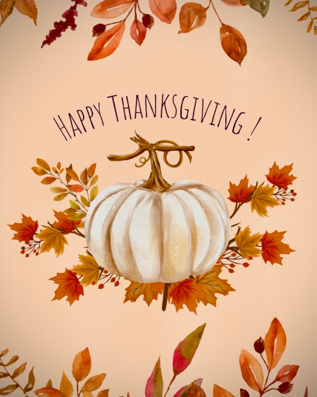 Instagram post by Dr. Lu-Jean Feng: Wishing you and your loved ones a beautiful Thanksgiving and start to the Holiday Season! We are grateful for all of you!🧡🤎 #drlujeanfeng …