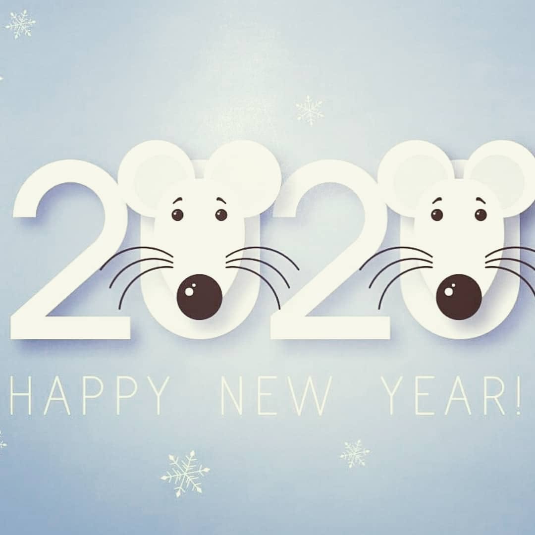 Instagram post by Dr. Lyubov Avshalumova: Happy 2020!!! May the New Year bring you blessings and warm your heart as well as your home. The New Year is a time for new hopes, aspiratio…