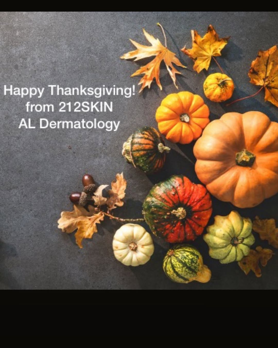 Instagram post by Dr. Lyubov Avshalumova: From all of us at 212SKIN, we would like to wish our patients and the members of our community a happy thanksgiving. We are thankful and hon…