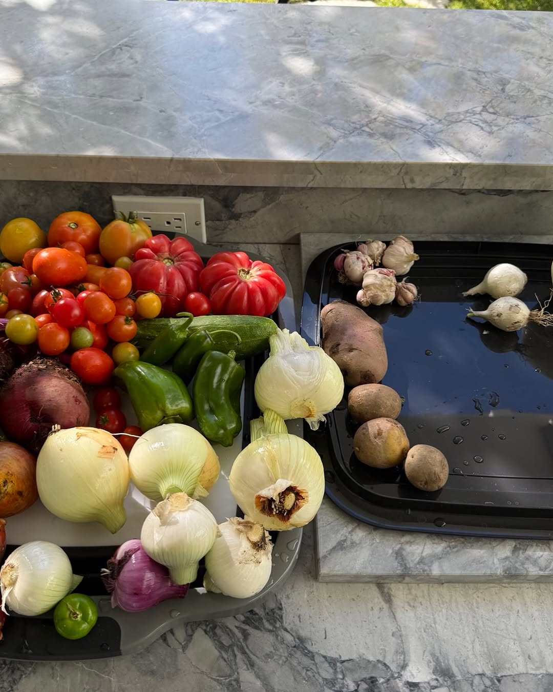 Instagram post by Dr. Marc M. Kerner: today's harvest. 5 varieties of tomatoes, peppers, onions, red and golden beets, tomatillos, garlic, potatoes, cucumbers. #organic #gardenin…