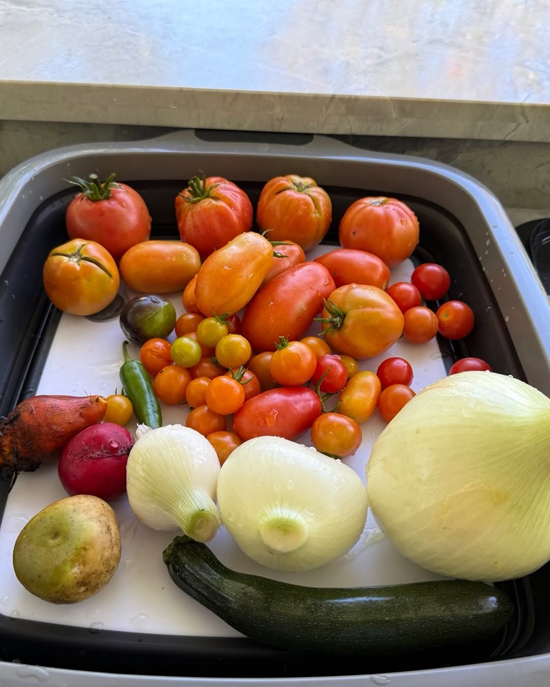 Instagram post by Dr. Marc M. Kerner: daily harvest-#tomatoes #onions #organic #beets