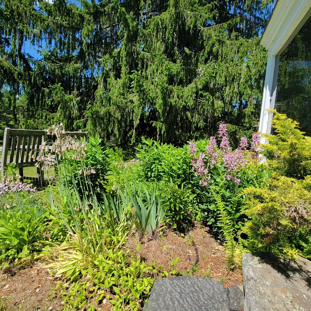 Instagram post by Dr. Nicole Kafka: Spring has surely sprung here. What a beautiful day.