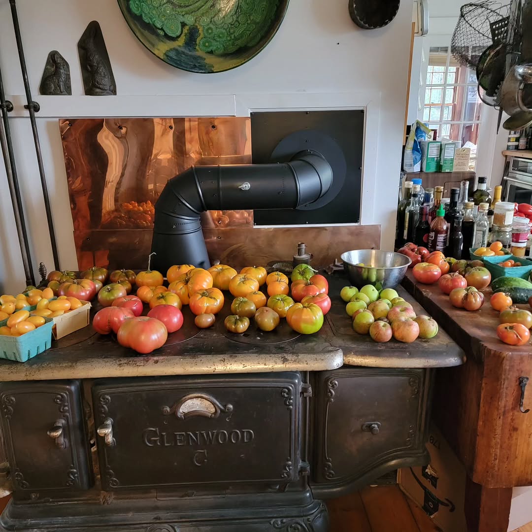 Instagram post by Dr. Nicole Kafka: Tomatoes, anyone? I picked these today and there are more.