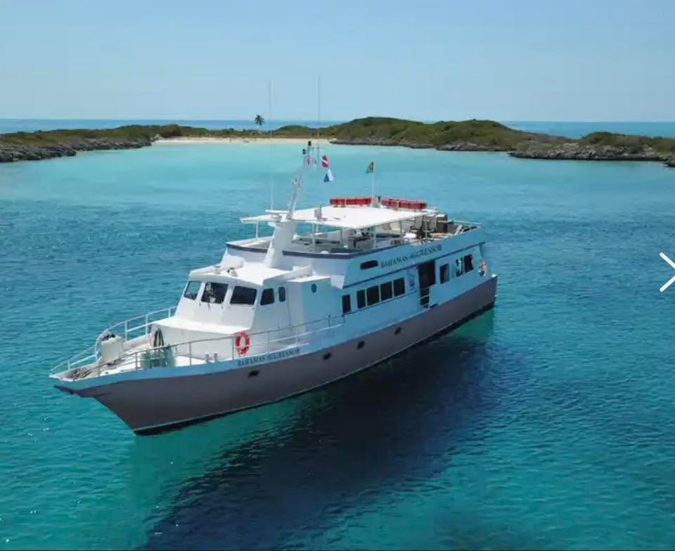 Instagram post by Dr. Paul Talbot: Febuary’s adventure: Saturday it’s off to the Bahama Aggressor liveaboard for a week of Diving and adventure. 4-5 dives a day, sharks will b…