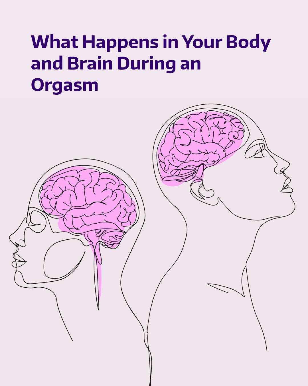 Instagram post by Dr. Rebecca Dunsmoor-Su: Orgasms don’t just feel good, they’re also good for your health. When you have an orgasm, your brain releases dopamine and oxytocin, two fee…