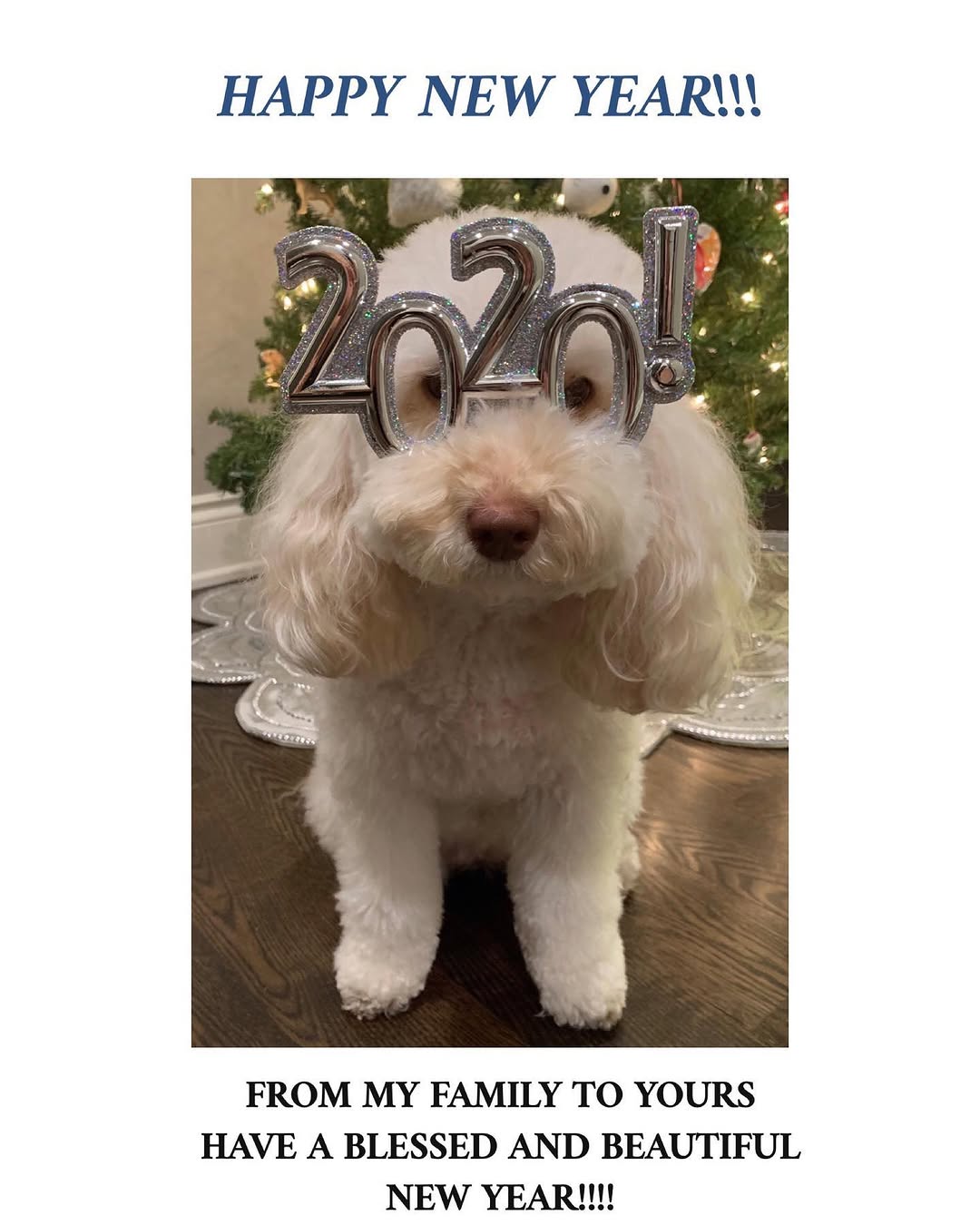 Instagram post by Dr. Robert Galiano: Happy New Year’s! After taking a break from posting to focus on family and holidays, here is a welcome-back post to wish you a blessed New Y…