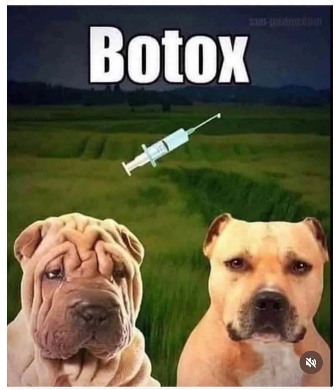 Instagram post by Dr. Robert M. Wald, Jr.: Come get your end of Summer Botox๐๐๐ . . To schedule your consultation, please contact my office. โ๏ธ(714)738-4282 ๐Fullerton, CA . #drroโฆ