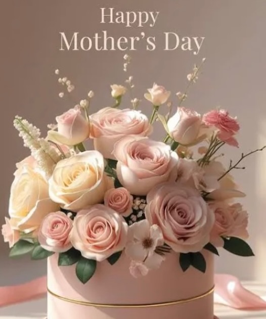 Instagram post by Dr. Ron Shemesh: Happy Mother’s Day 💐🌸😍 #mothersday #happymothersday #tampa #heal #joy