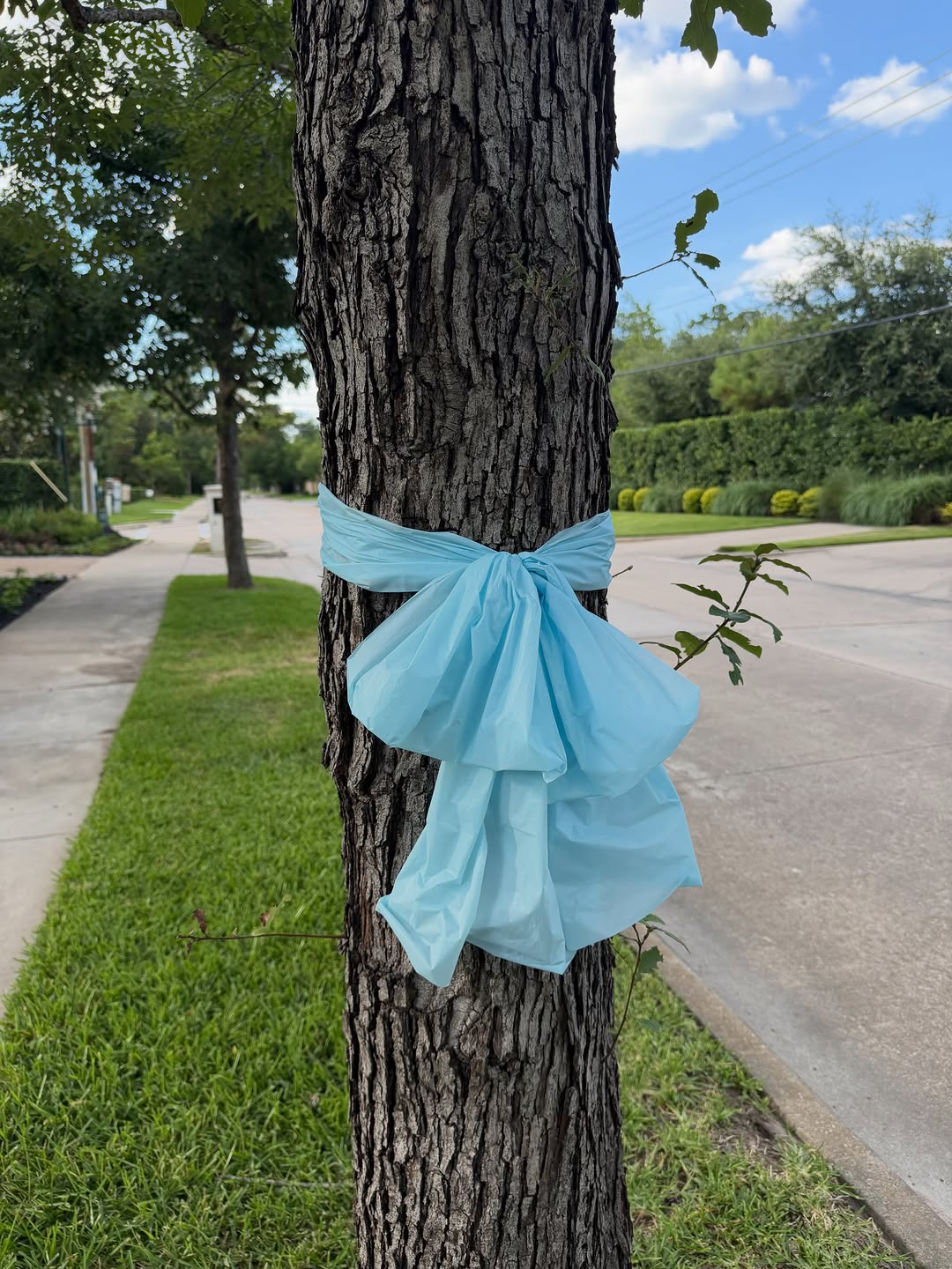 Instagram post by Dr. Ronald Konig DDS: .Sending love and prayers to all those affected by last years tragic event. Your families will always be in our hearts.