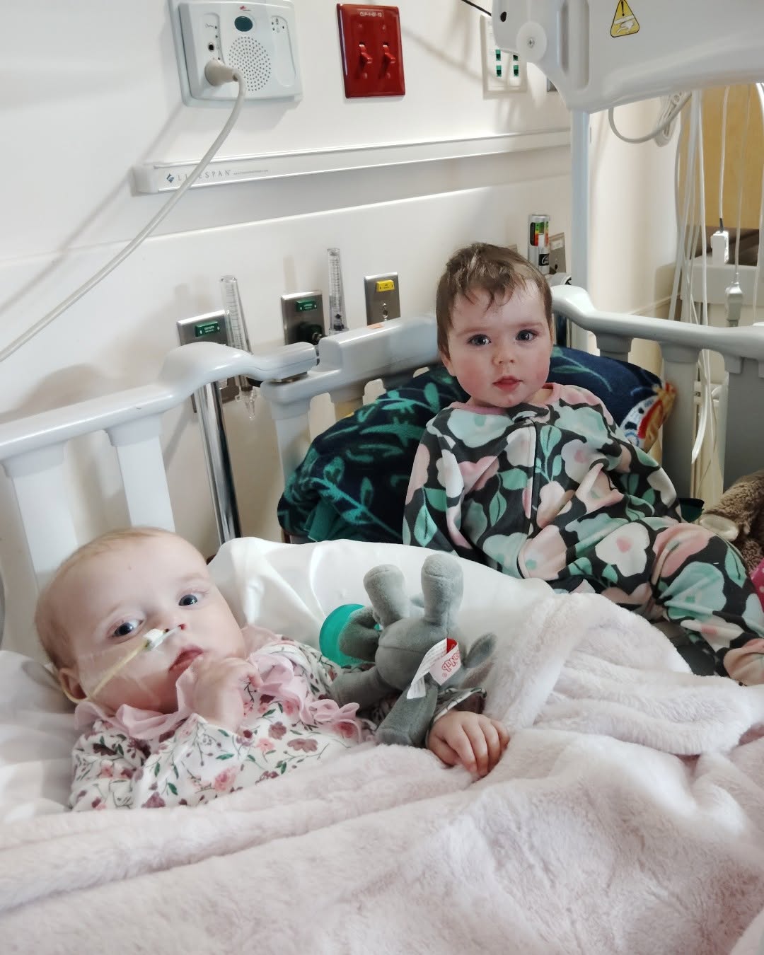 Instagram post by Dr. Sean P. Edwards, DDS: 🎗️Josephine “JoJo” Wells was born as a spontaneous triplet—a rare occurrence that happens in 1 out of one million pregnancies. Nine months …