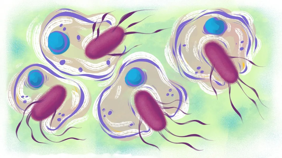 Instagram post by Dr. Sean P. Edwards, DDS: Like people, cells get stressed too, and researchers want to understand how. Researchers at Michigan Medicine are uncovering cellular stress…