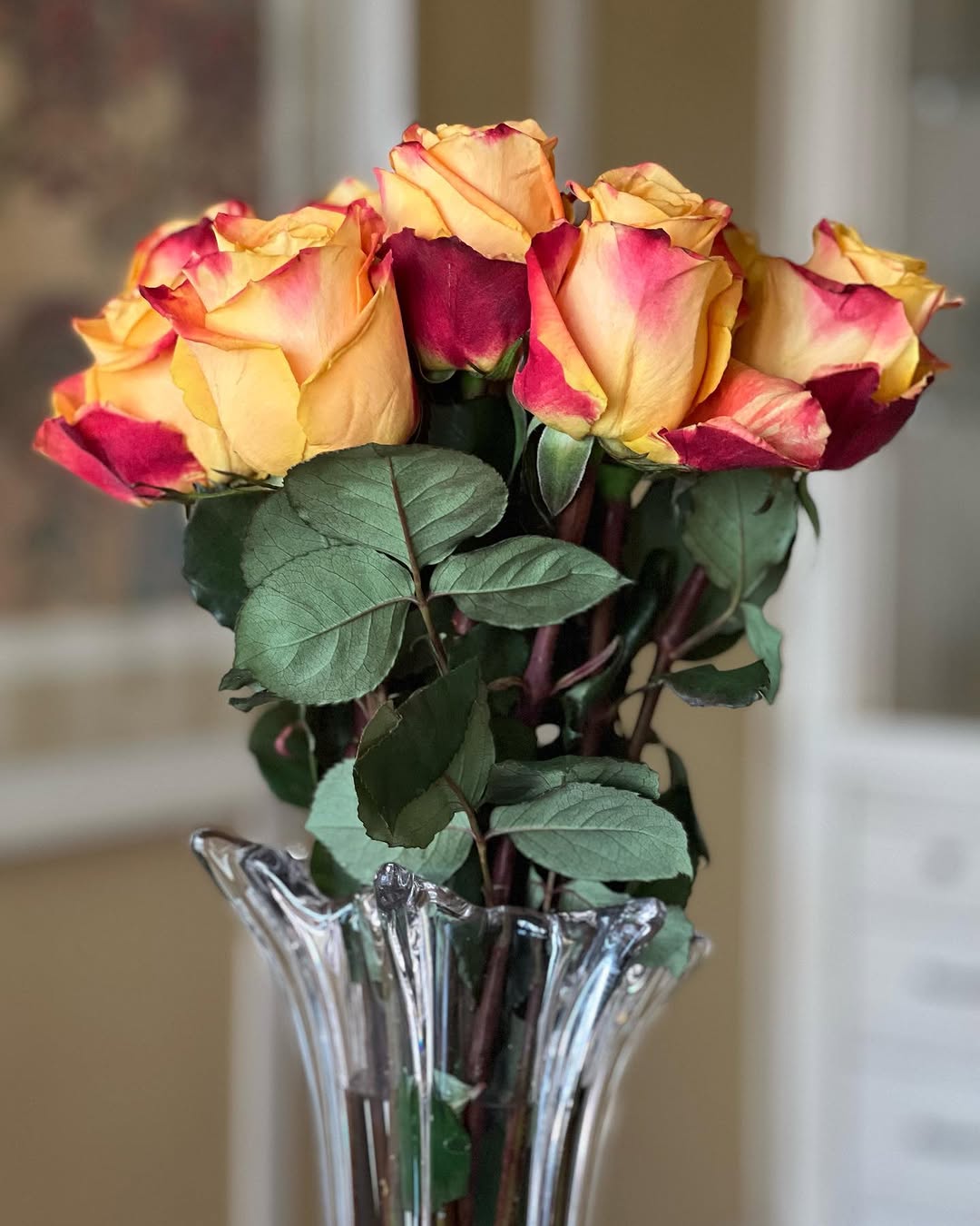 Instagram post by Dr. Selena Lantry: My office staff knows how to spoil me! Fire Roses. #shouldIreadbetweenthelines? #orjustsaythankyou?