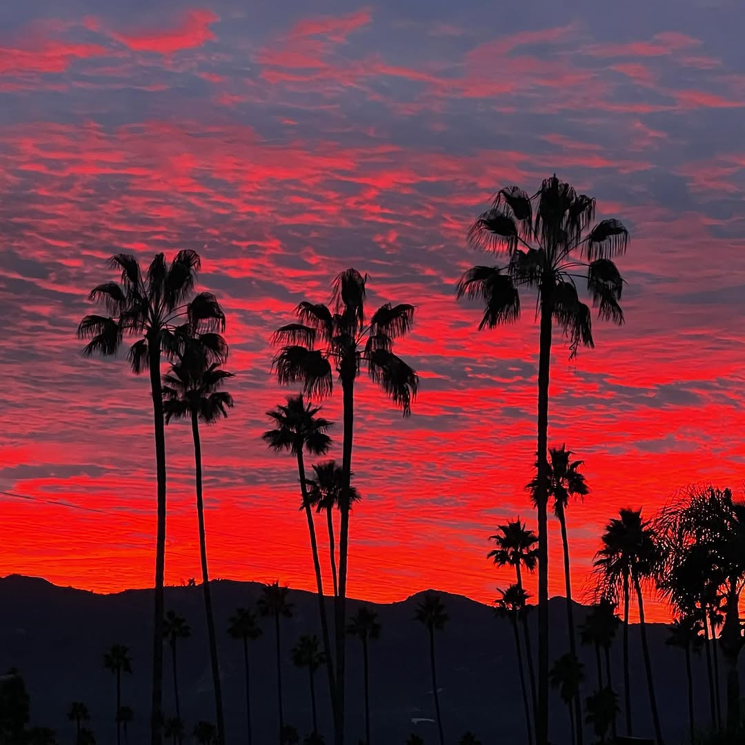 Instagram post by Dr. Selena Lantry: Sunset tonight #glendale #sunset #cherisheverymoment #liveinthemoment #gratefulfornature #nofilter